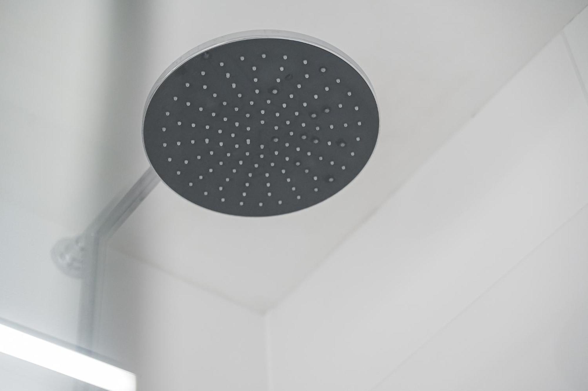 Black Forest Design Apartment Bad Wildbad Eksteriør billede