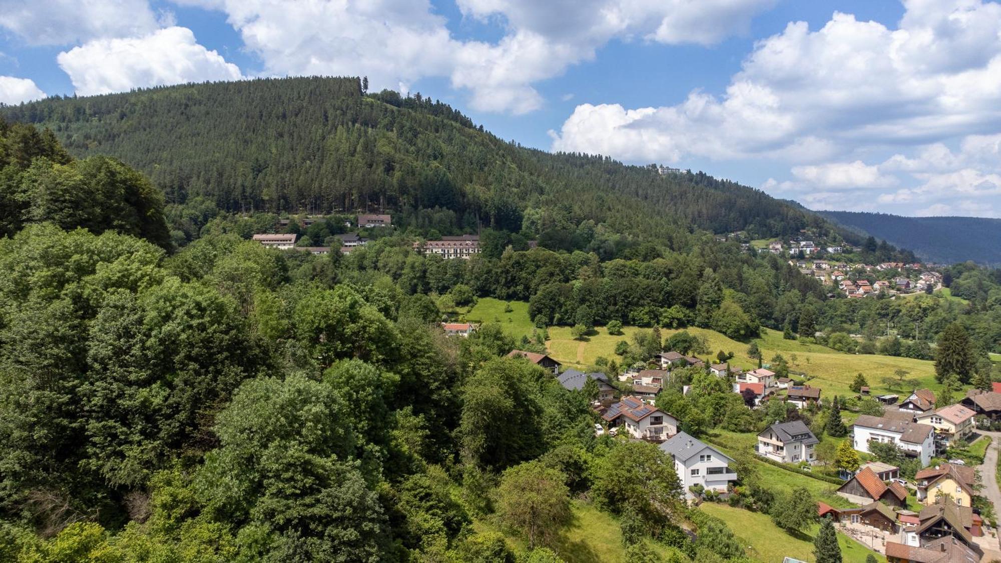 Black Forest Design Apartment Bad Wildbad Eksteriør billede