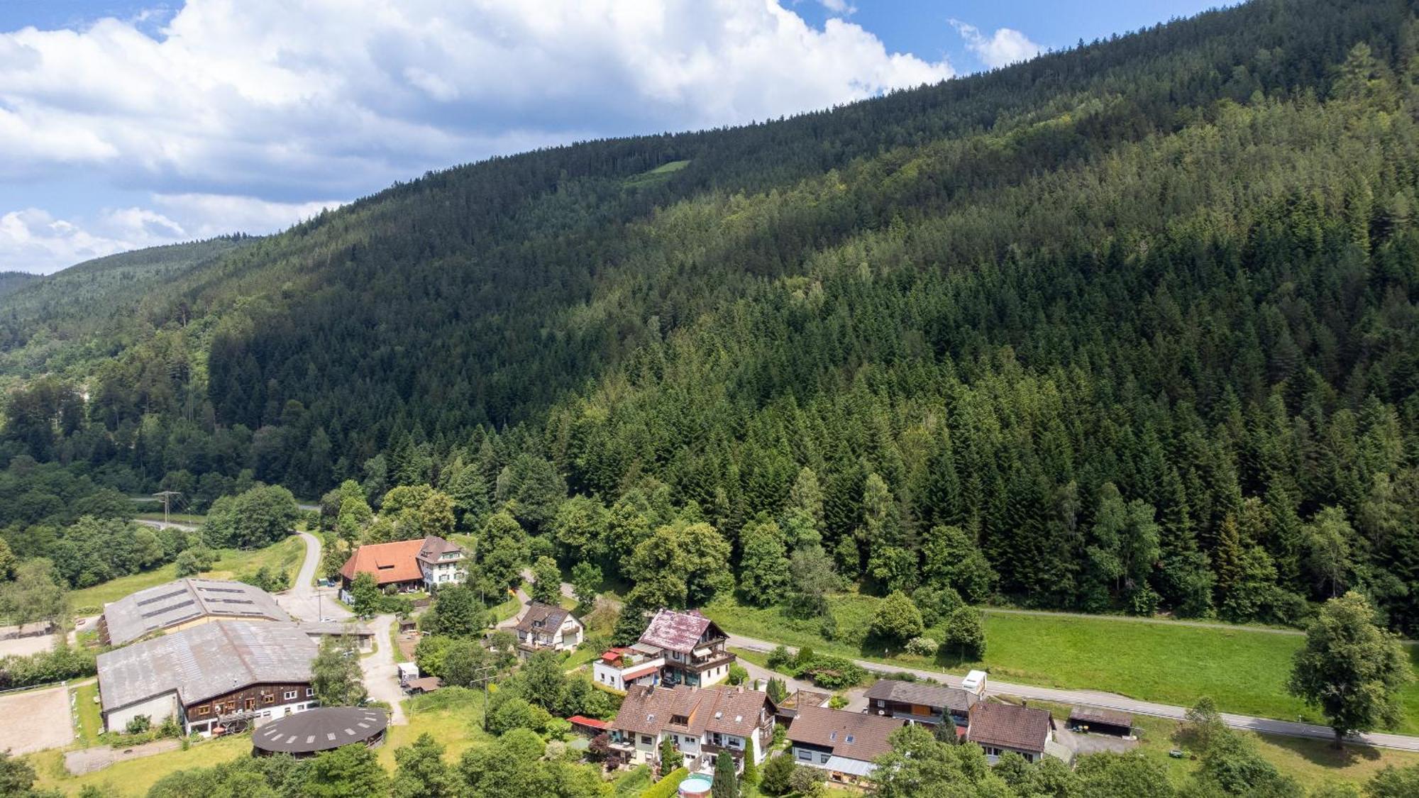 Black Forest Design Apartment Bad Wildbad Eksteriør billede